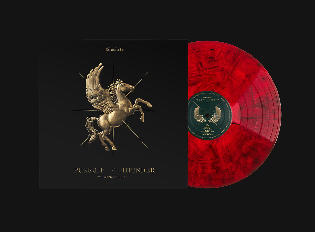 Lesley Quist Pursuit of Thunder
